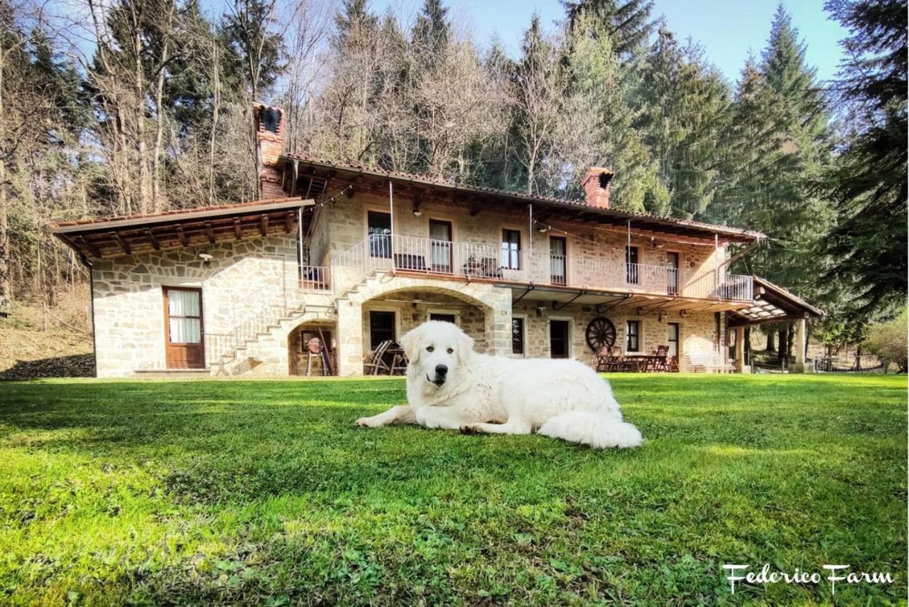 La Casa Del Sarto - Federicofarm Villa Pontremoli Exteriör bild