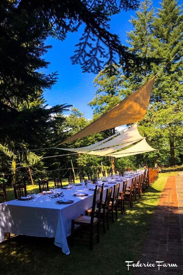 La Casa Del Sarto - Federicofarm Villa Pontremoli Exteriör bild